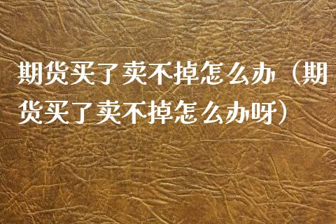 期货买了卖不掉怎么办（期货买了卖不掉怎么办呀）_https://wap.gongyisiwang.com_概念板块_第1张