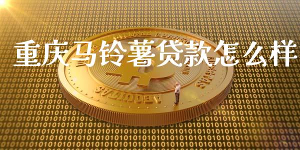 重庆马铃薯贷款怎么样_https://wap.gongyisiwang.com_股市新闻_第1张