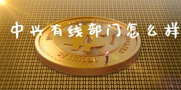 中兴有线部门怎么样_https://wap.gongyisiwang.com_理财规划_第1张