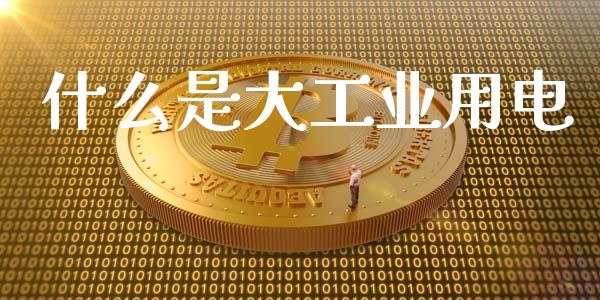 什么是大工业用电_https://wap.gongyisiwang.com_金融科技_第1张