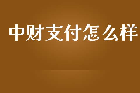 中财支付怎么样_https://wap.gongyisiwang.com_概念板块_第1张