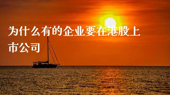 为什么有的企业要在港股上市公司_https://wap.gongyisiwang.com_金融科技_第1张