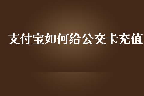 支付宝如何给公交卡充值_https://wap.gongyisiwang.com_美原油直播_第1张