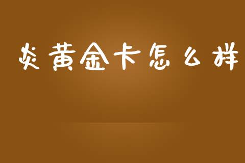 炎黄金卡怎么样_https://wap.gongyisiwang.com_理财规划_第1张