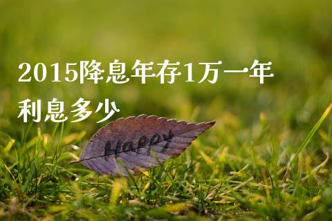 2015降息年存1万一年利息多少_https://wap.gongyisiwang.com_理财规划_第1张