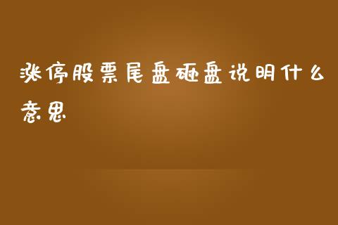 涨停股票尾盘砸盘说明什么意思_https://wap.gongyisiwang.com_金融科技_第1张