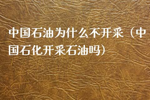 中国石油为什么不开采（中国石化开采石油吗）_https://wap.gongyisiwang.com_大盘分析_第1张