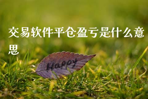 交易软件平仓盈亏是什么意思_https://wap.gongyisiwang.com_股市新闻_第1张