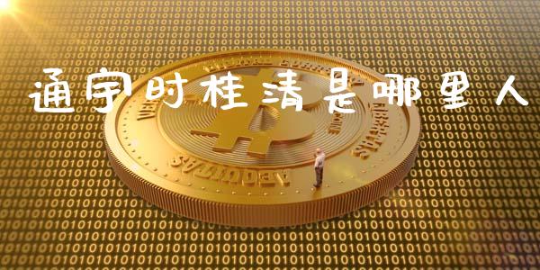 通宇时桂清是哪里人_https://wap.gongyisiwang.com_股市新闻_第1张