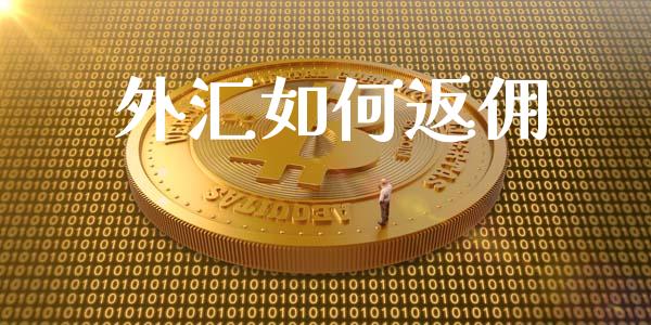 外汇如何返佣_https://wap.gongyisiwang.com_金融科技_第1张