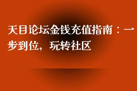天目论坛金钱充值指南：一步到位，玩转社区_https://wap.gongyisiwang.com_大盘分析_第1张