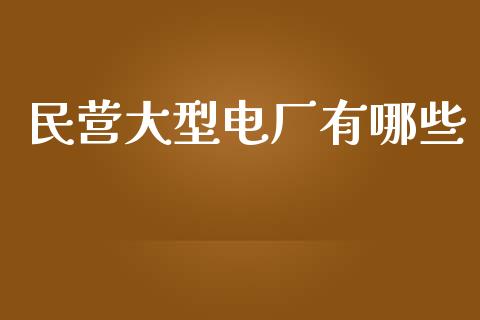 民营大型电厂有哪些_https://wap.gongyisiwang.com_理财规划_第1张