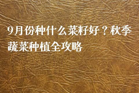 9月份种什么菜籽好？秋季蔬菜种植全攻略_https://wap.gongyisiwang.com_美原油直播_第1张