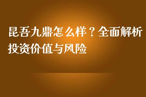 昆吾九鼎怎么样？全面解析投资价值与风险_https://wap.gongyisiwang.com_保险理财_第1张