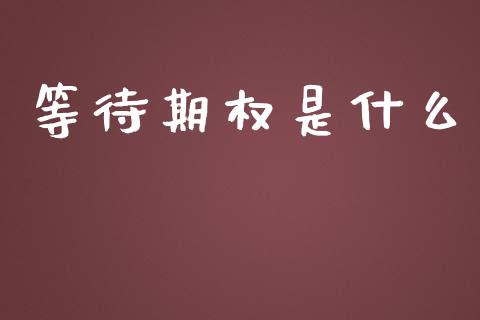 等待期权是什么_https://wap.gongyisiwang.com_保险理财_第1张