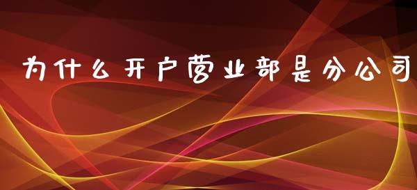 为什么开户营业部是分公司_https://wap.gongyisiwang.com_金融科技_第1张