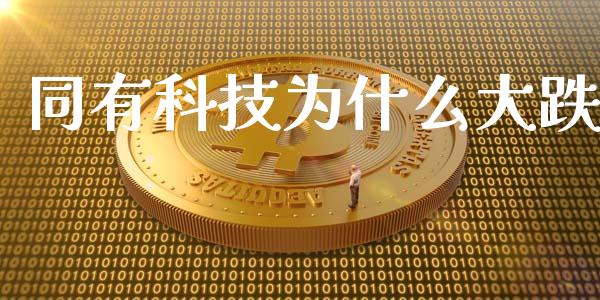 同有科技为什么大跌_https://wap.gongyisiwang.com_概念板块_第1张