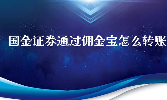 国金证券通过佣金宝怎么转账_https://wap.gongyisiwang.com_大盘分析_第1张