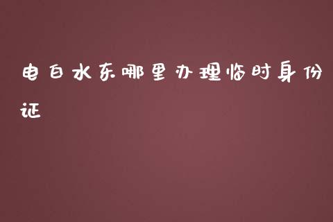 电白水东哪里办理临时身份证_https://wap.gongyisiwang.com_保险理财_第1张