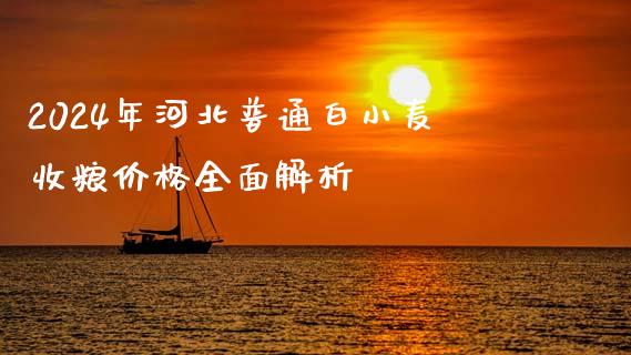 2024年河北普通白小麦收粮价格全面解析_https://wap.gongyisiwang.com_金融科技_第1张