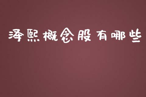 泽熙概念股有哪些_https://wap.gongyisiwang.com_金融科技_第1张