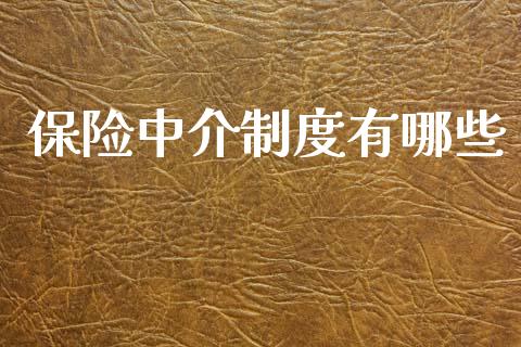 保险中介制度有哪些_https://wap.gongyisiwang.com_保险理财_第1张