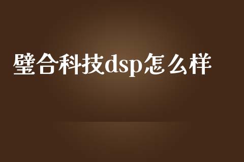 璧合科技dsp怎么样_https://wap.gongyisiwang.com_个股行情_第1张