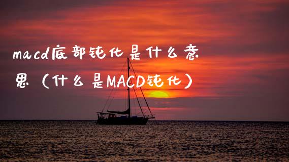 macd底部钝化是什么意思（什么是MACD钝化）_https://wap.gongyisiwang.com_保险理财_第1张