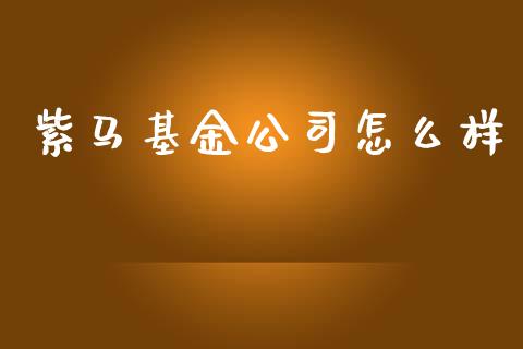 紫马基金公司怎么样_https://wap.gongyisiwang.com_概念板块_第1张