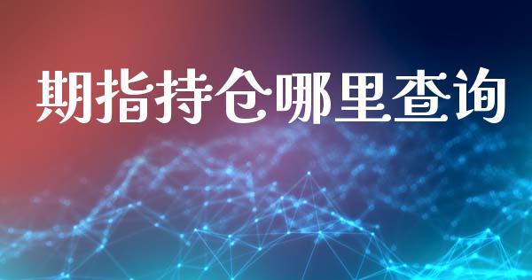 期指持仓哪里查询_https://wap.gongyisiwang.com_概念板块_第1张