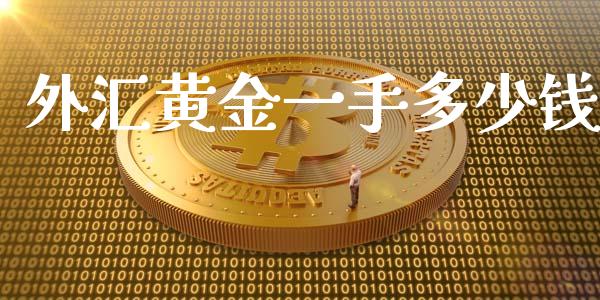 外汇黄金一手多少钱_https://wap.gongyisiwang.com_美原油直播_第1张