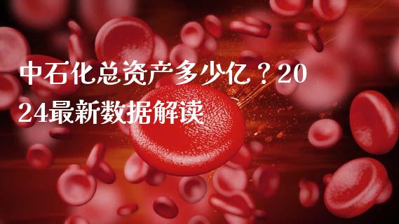 中石化总资产多少亿？2024最新数据解读_https://wap.gongyisiwang.com_个股行情_第1张