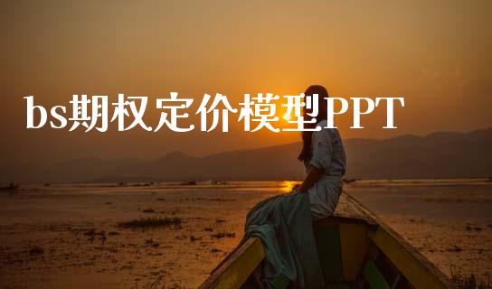 bs期权定价模型PPT_https://wap.gongyisiwang.com_理财规划_第1张