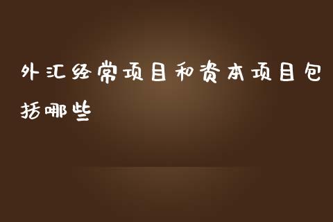 外汇经常项目和资本项目包括哪些_https://wap.gongyisiwang.com_大盘分析_第1张