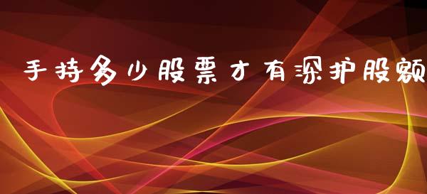 手持多少股票才有深护股额_https://wap.gongyisiwang.com_概念板块_第1张