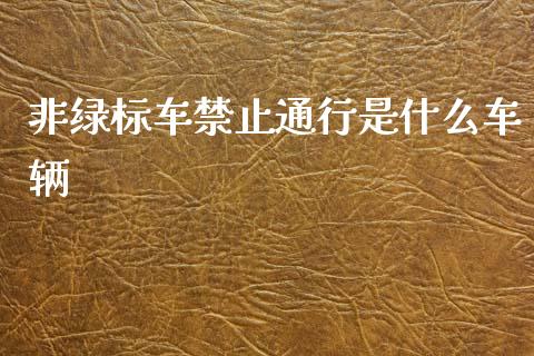 非绿标车禁止通行是什么车辆_https://wap.gongyisiwang.com_理财规划_第1张