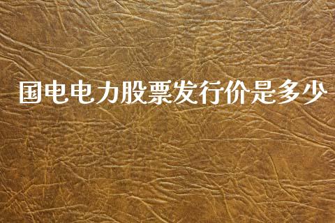 国电电力股票发行价是多少_https://wap.gongyisiwang.com_理财规划_第1张