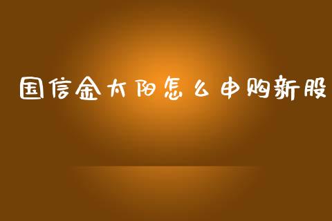 国信金太阳怎么申购新股_https://wap.gongyisiwang.com_个股行情_第1张