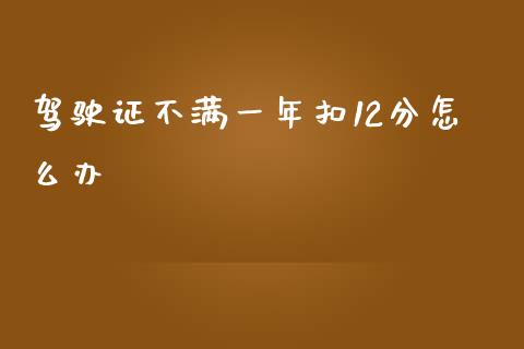 驾驶证不满一年扣12分怎么办_https://wap.gongyisiwang.com_大盘分析_第1张