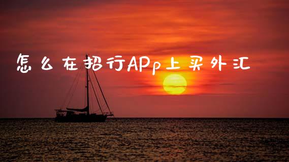 怎么在招行APp上买外汇_https://wap.gongyisiwang.com_金融科技_第1张