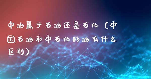 中油属于石油还是石化（中国石油和中石化的油有什么区别）_https://wap.gongyisiwang.com_金融科技_第1张