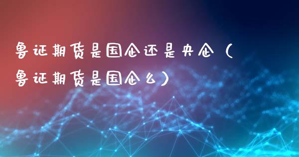 鲁证期货是国企还是央企（鲁证期货是国企么）_https://wap.gongyisiwang.com_个股行情_第1张