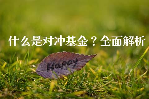 什么是对冲基金？全面解析_https://wap.gongyisiwang.com_保险理财_第1张