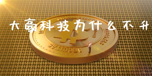 大豪科技为什么不升_https://wap.gongyisiwang.com_理财规划_第1张