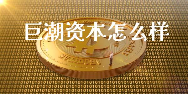 巨潮资本怎么样_https://wap.gongyisiwang.com_理财规划_第1张