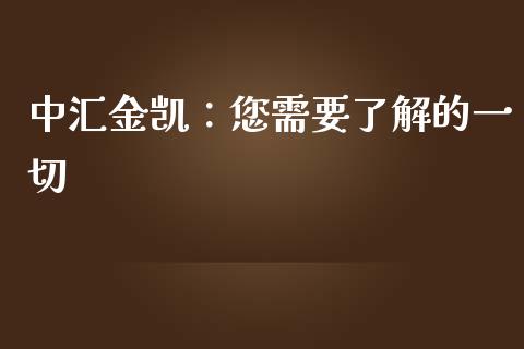 中汇金凯：您需要了解的一切_https://wap.gongyisiwang.com_大盘分析_第1张