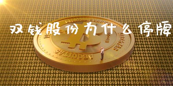 双钱股份为什么停牌_https://wap.gongyisiwang.com_股市新闻_第1张