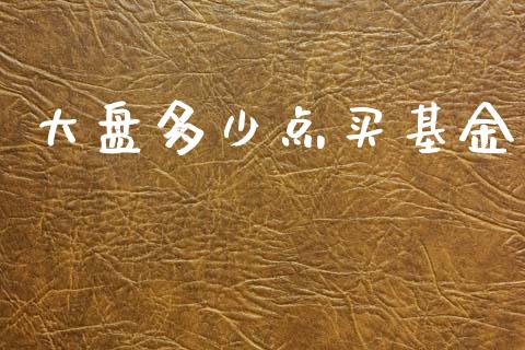 大盘多少点买基金_https://wap.gongyisiwang.com_大盘分析_第1张