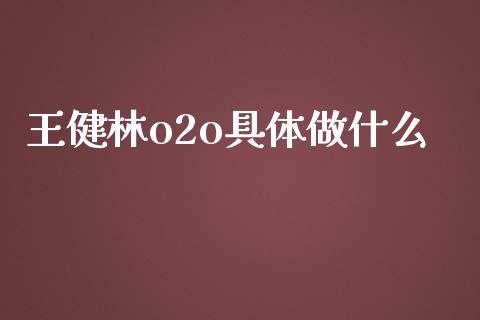 王健林o2o具体做什么_https://wap.gongyisiwang.com_金融科技_第1张