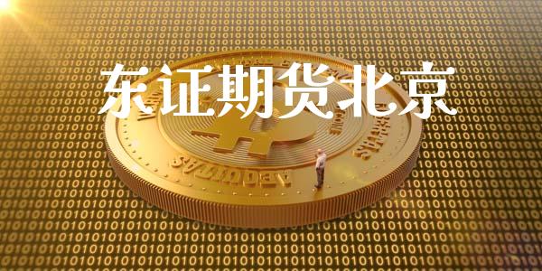 东证期货北京_https://wap.gongyisiwang.com_金融科技_第1张